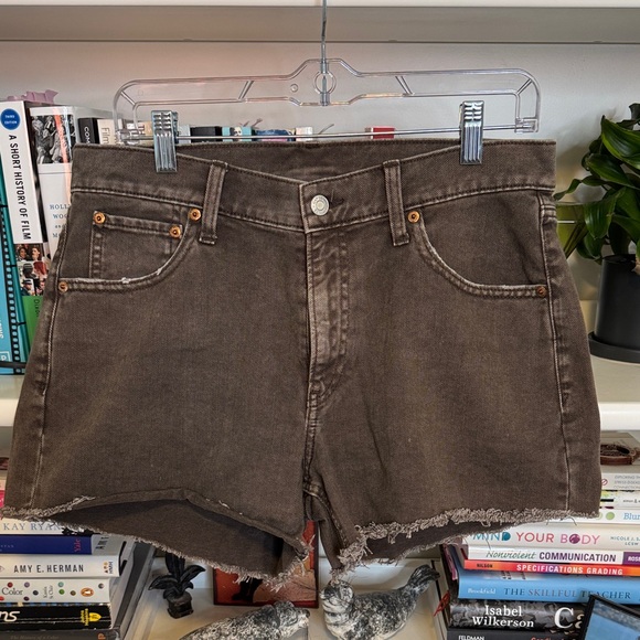 GAP Pants - GAP Dark Brown Jean Shorts